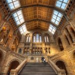 Natural History Too