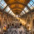 The Great Hall