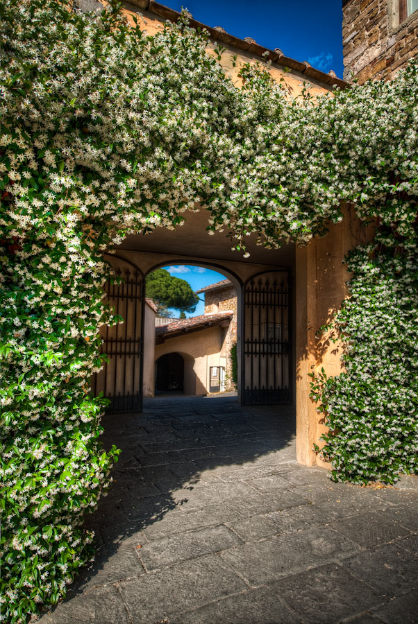 Flowers To Mark The Path