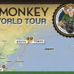 2012 Blame The Monkey World | May-June