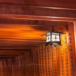 Sacred Path || Fushimi Inari Shrine