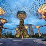 Under The Supertrees | Singapore