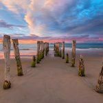 Soft Surrender | St Clair Beach, New Zealand