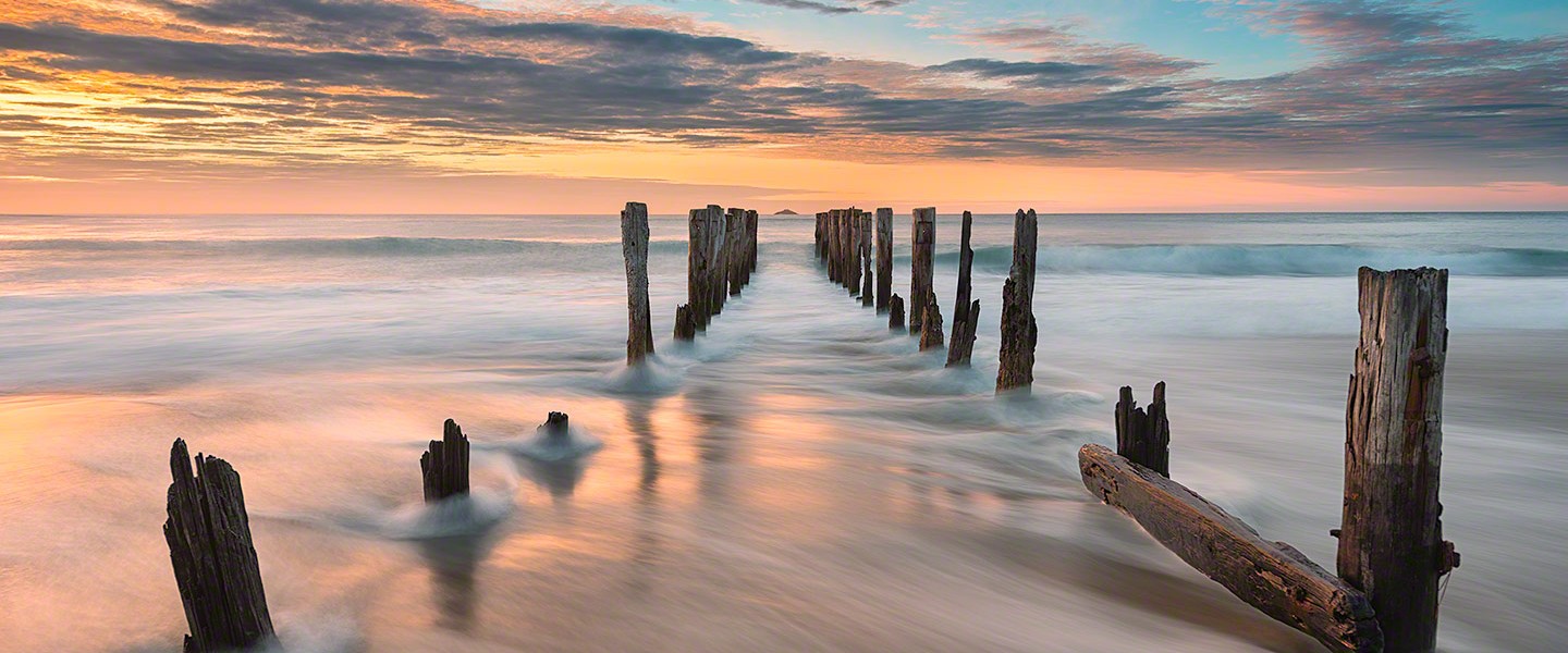 Rising Tide || New Zealand