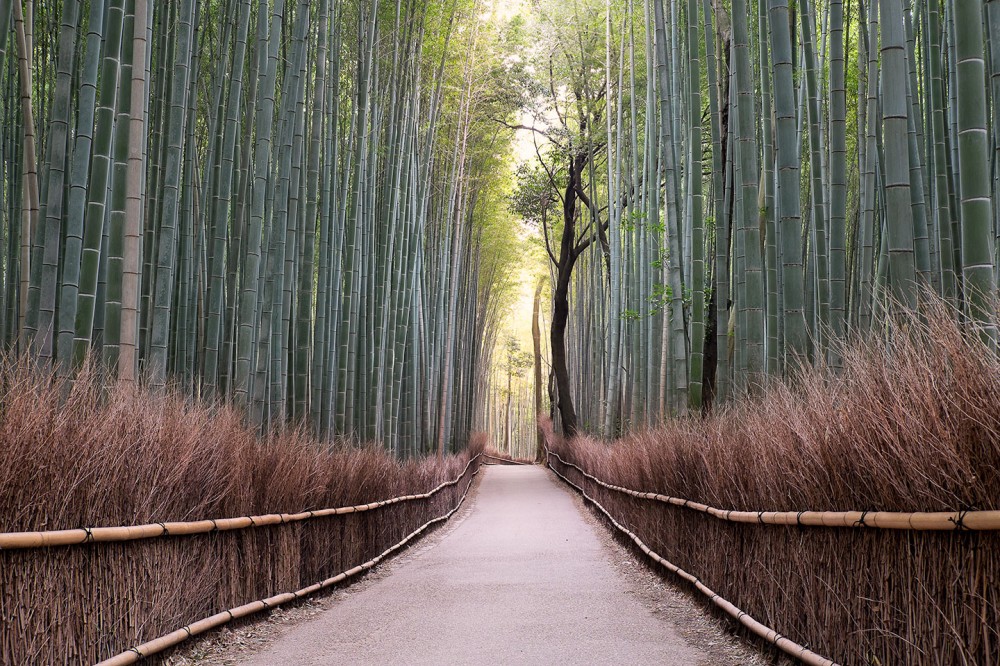 Arashiyama, Japan - March 2014 - Fujifilm X-E2 | Fujinon XF 18-55 Lens | 25mm | f/9 | ISO 200 | 0.6 sec