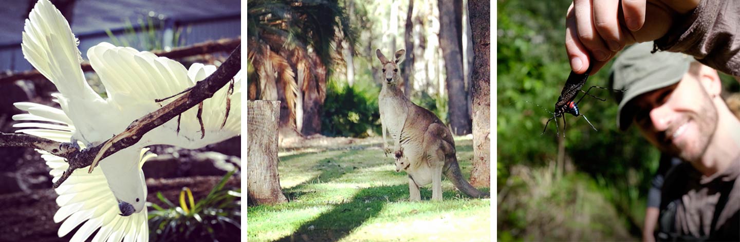 Getting acquainted with the local wildlife :) (iPhone 4s)